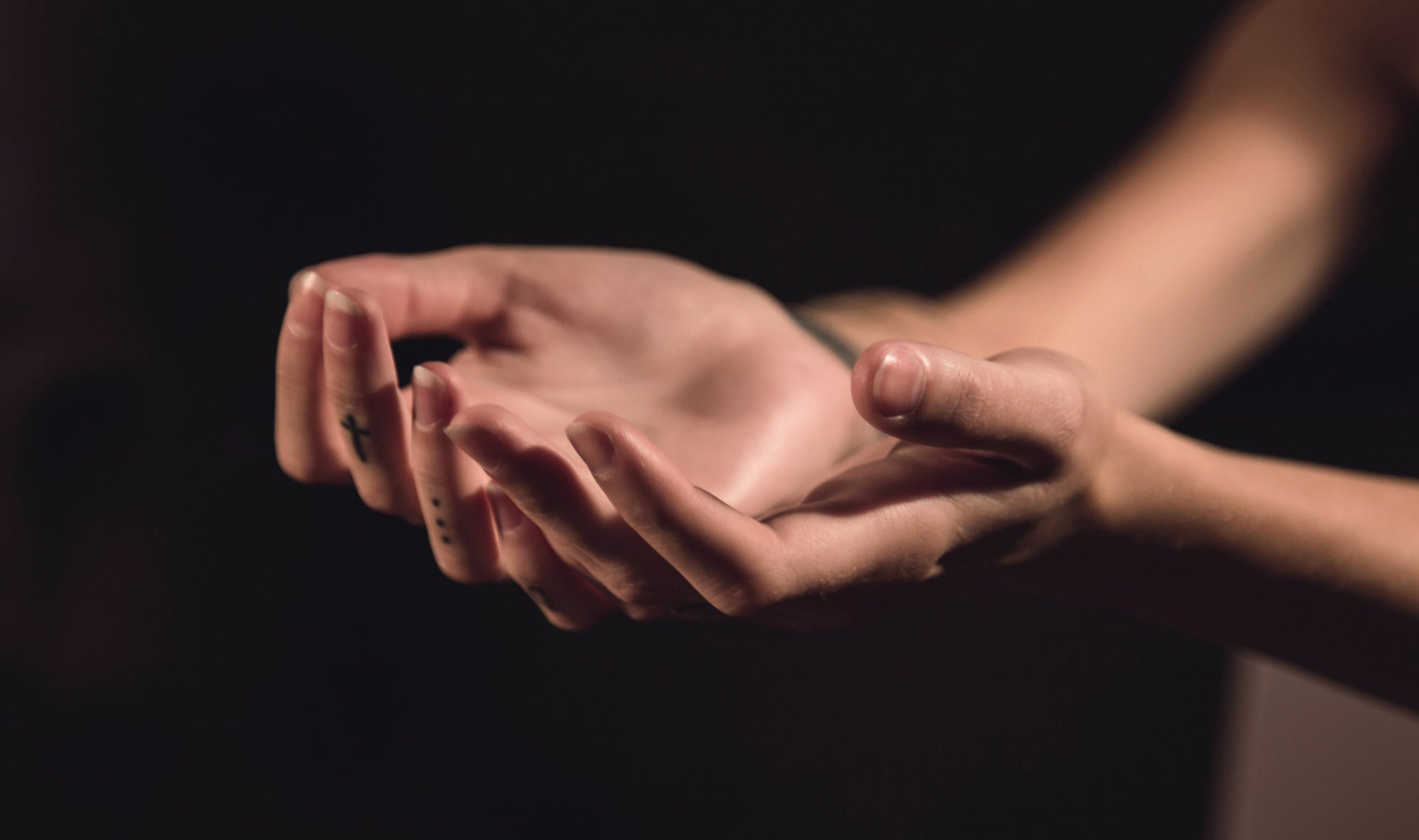 Crafting Herbal Tinctures for Holistic Harmony