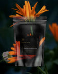 CONSTELLATIONS WITHIN / Gut Restoration Tea