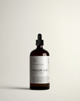 MULLEIN LEAF / Animated Elixir