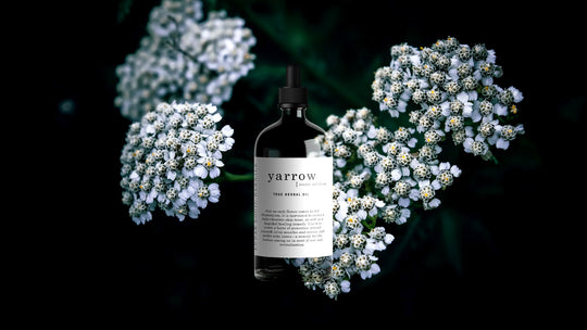 Harnessing the Mystical Power of Yarrow Herb Oil for Skin and Spiritual Well-being