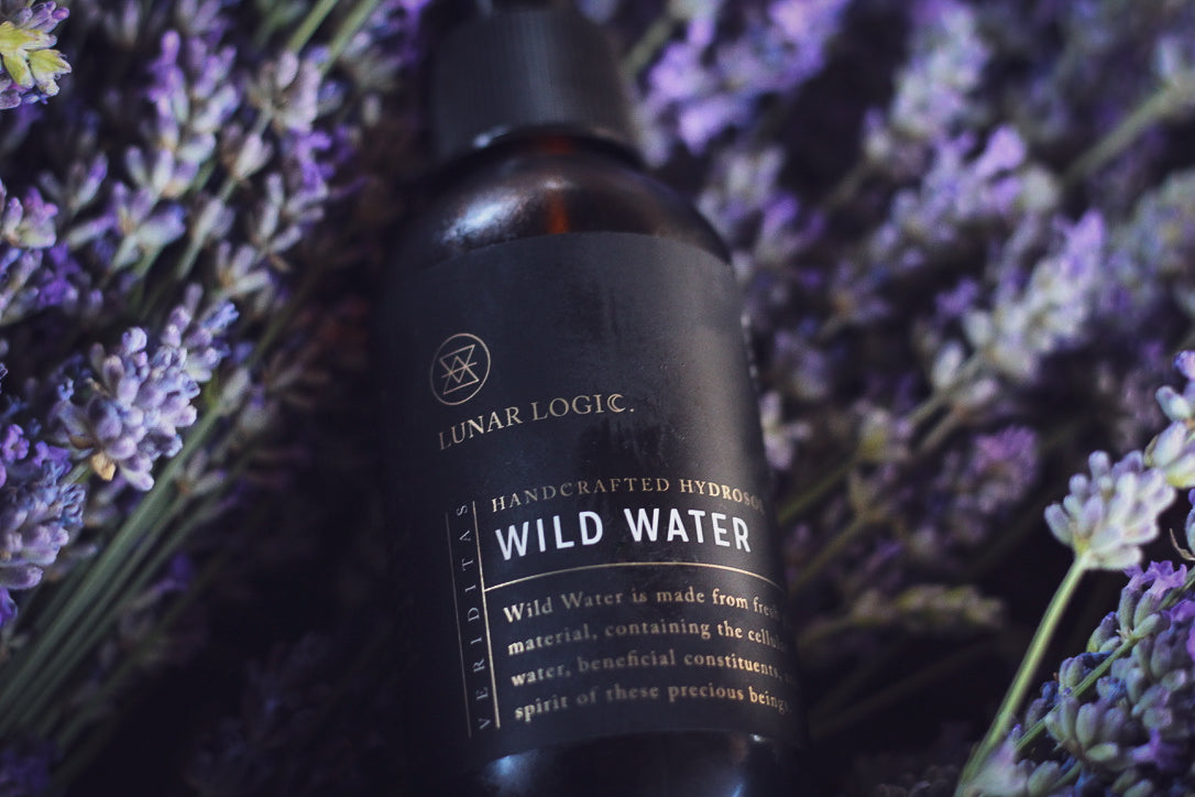 Skin Alchemy