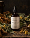 MULLEIN LEAF / Animated Elixir