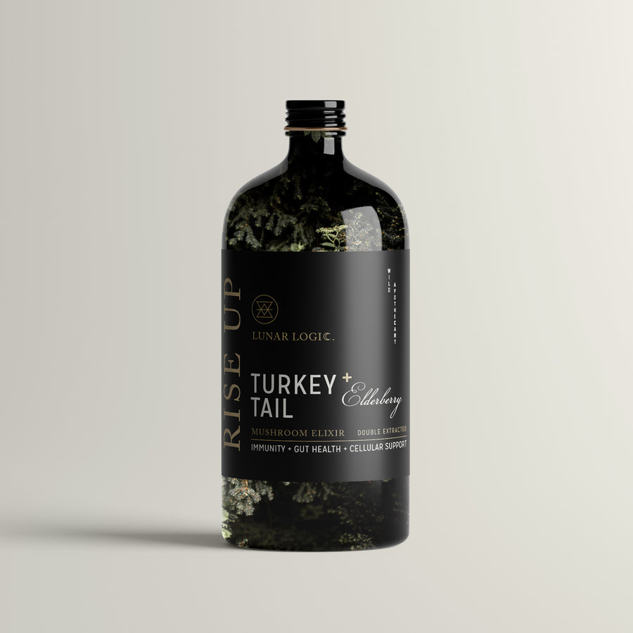 RISE UP / Turkey Tail + Elderberry Mushroom Elixir