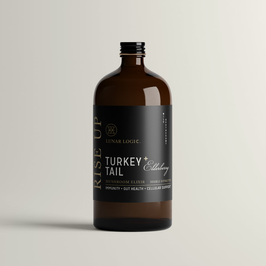 RISE UP / Turkey Tail + Elderberry Mushroom Elixir